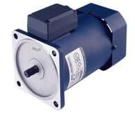 美國H2W電動機馬達