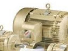 波蘭BESEL齒輪箱