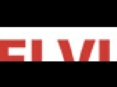 意大利ELVI電動機