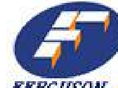 美國費(fèi)戈斯FERGUSON計(jì)量泵